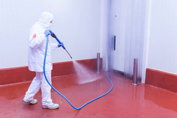 Best Patio and Deck Pressure Washing  in Gulfport, FL